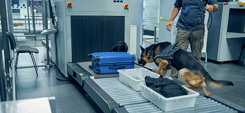Baggage & Parcel Inspection